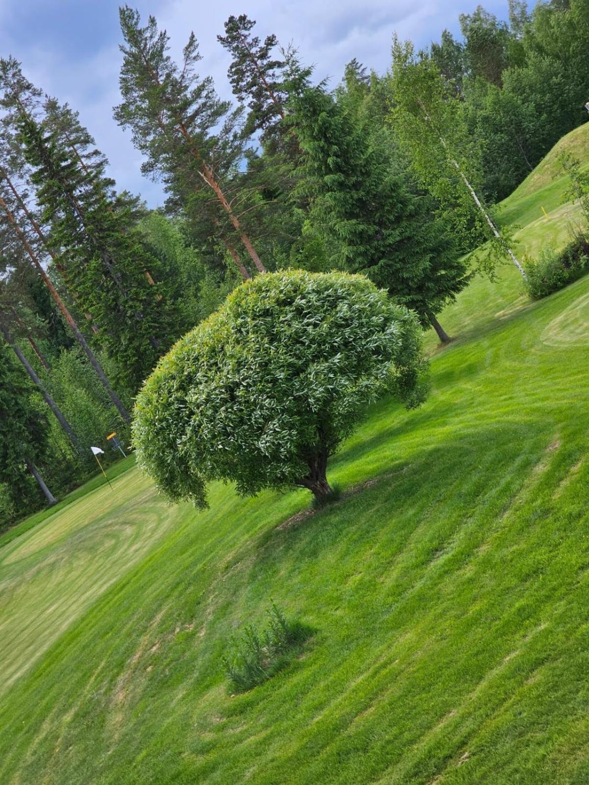 Отель Kesaeaitat Эхтяри Экстерьер фото